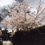 Photo by risdSTEAM (@risdsteam)
