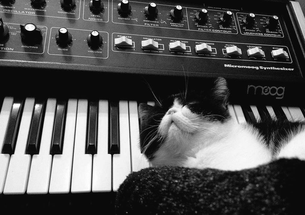 Studio junky... #MoogLove