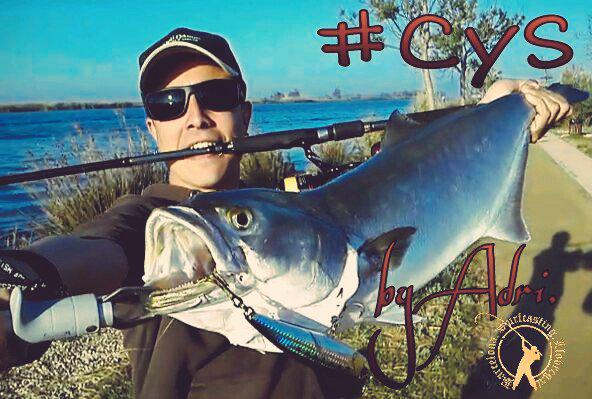 Surfcasting_Bcn's tweet photo. Captura y suelta del compi Adri! #pesca #lirio #tallham #fishing os animamos a que practiqueis el #CyS  bravo company http://t.co/A7ecAi0AbZ