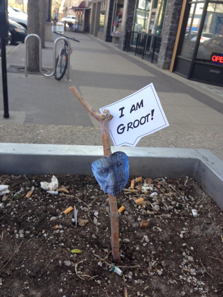 DowntownLeth's tweet photo. Creativity and humour is alive and well in our downtown. #shoplocalyql #YQL http://t.co/SHqEtNIkdm