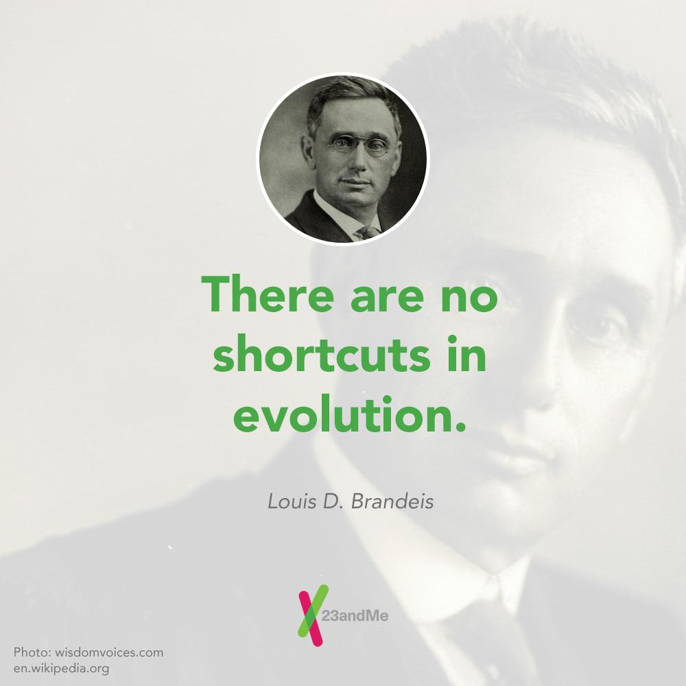 Louis Brandeis - Wikipedia