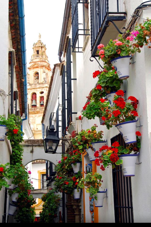 TapasMalaga's tweet photo. http://t.co/0jMBLe901A