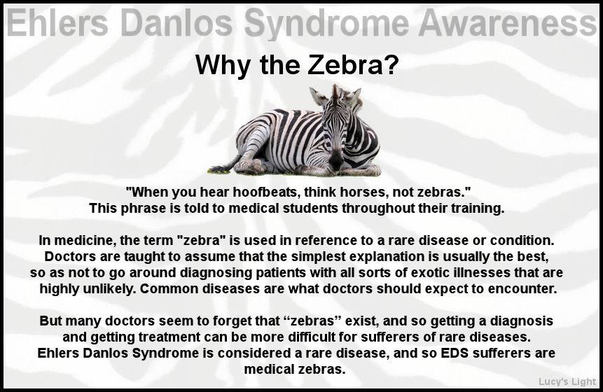 Squiffy2's tweet photo. Why a #Zebra? #EDS #HMS http://t.co/CUKglVAEPk