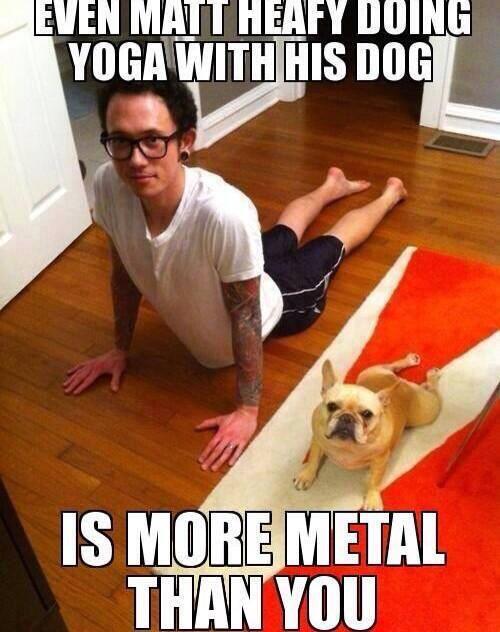 TriviumMemes tweet picture