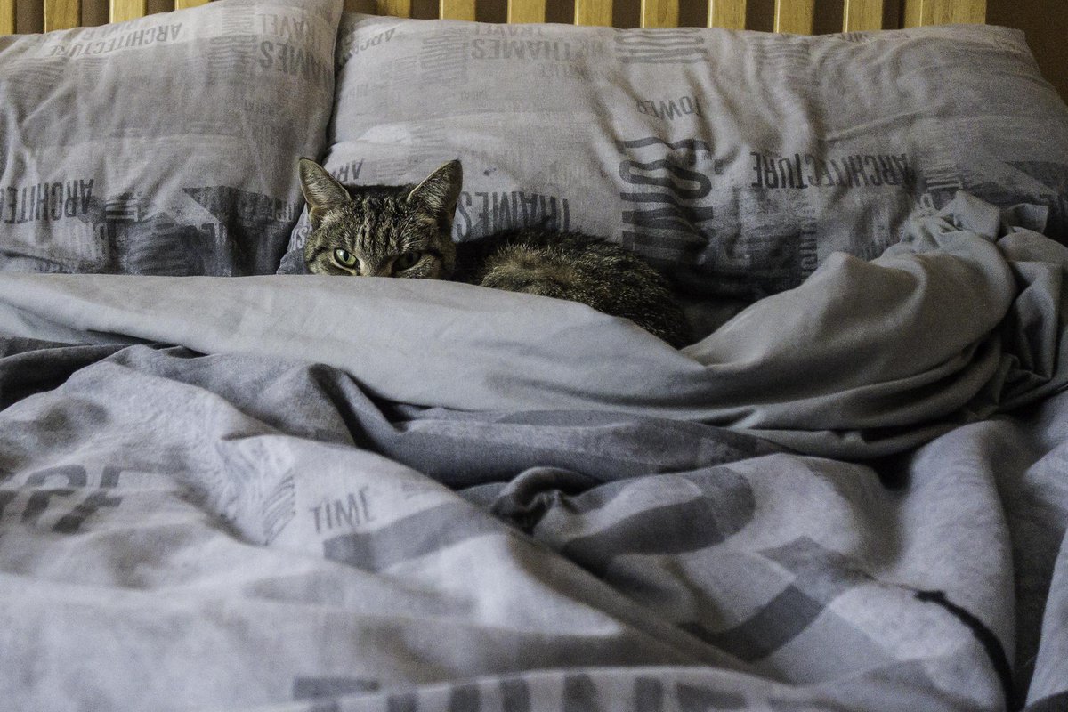 Johnny_coolcat's tweet photo. Oooh Dads in luck.

He's got a pretty young girl waiting in bed for him!! http://t.co/1vMf1y0cQF