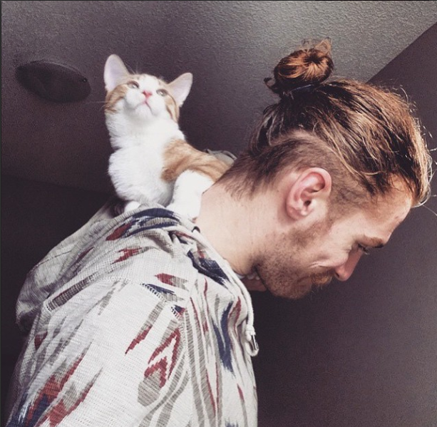 GoTeamMeow's tweet photo. An Instagram dedicated to man buns and cats? This isn't a drill. I repeat, this isn't a drill: http://t.co/kOEpNfuXWi http://t.co/Envp7MmVpO