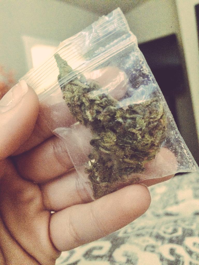 Last night a guy asked me to buy weed, I said "I don't buy weed" so he just gave it to me 😂 #pineapple #tobeagirl