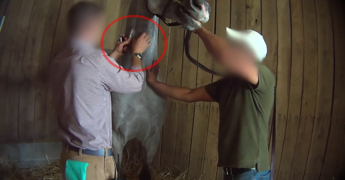 peta's tweet photo. There's only ONE horse—Mubtaahij—racing WITHOUT medication at #KyDerby today. #WTF http://t.co/yYnxLR4uZn http://t.co/z1nWgzMiwu