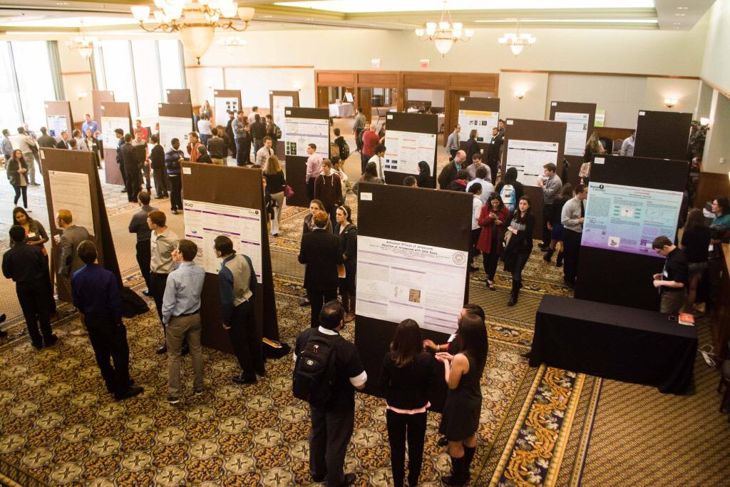 The Whit News tweet media