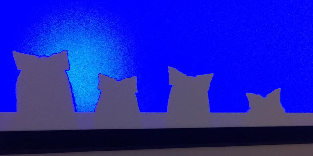 PetWork tweet media
