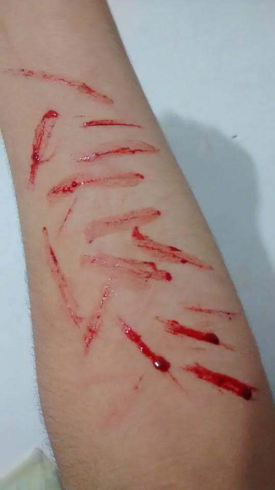 ferraz2015 tweet picture