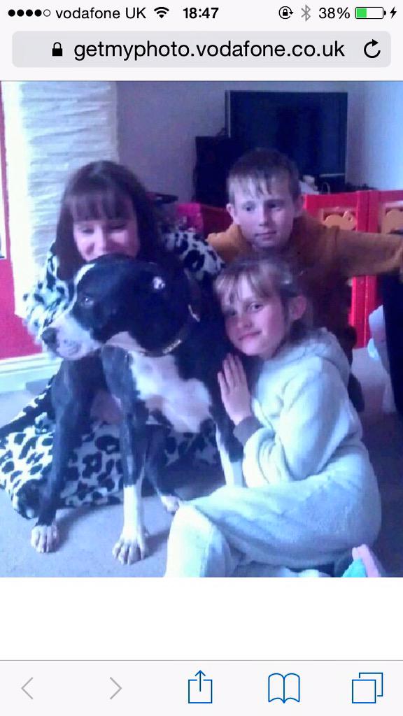 Rochdale Dog Rescue tweet media