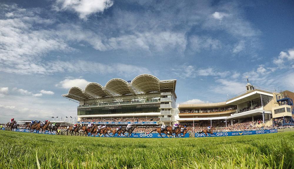 NewmarketRace's tweet photo. After a superb first day at the #QIPCOGuineas we can't wait for tomorrow. Join us from 11.20am to do it all again. http://t.co/VBczauTNIW