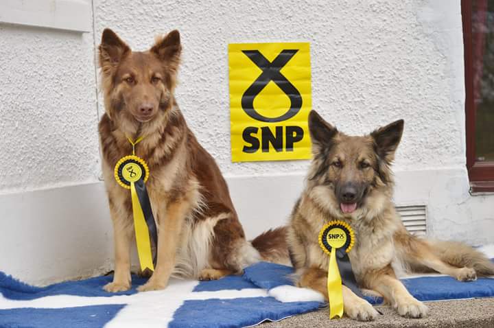 Yes45fife's tweet photo. #SNPets supporting Peter Grant @GlenCentFifeSNP #grantforglenrothes look like winners to me! Like SNP on 7th May! http://t.co/p56PM5OAmz