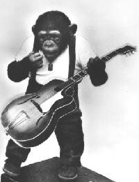 MuddyParrett's tweet photo. #muddyparrettrock http://t.co/4t6YbID3ts