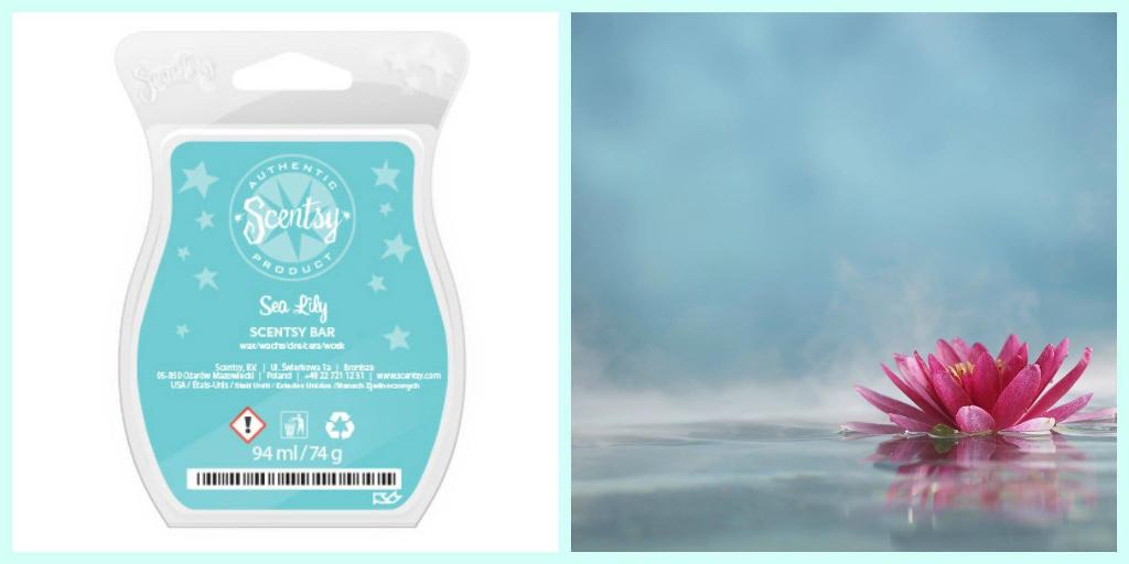 a_scentsy's tweet photo. Perfect scent to relax to http://t.co/3B6e05ZPGg