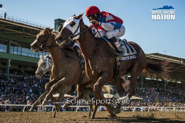 HR_Nation's tweet photo. kinda like this one @MollyJoRosen by @A_Evers for @EclipseSports? #BC2013 #fierce http://t.co/yXn5PEa8vT