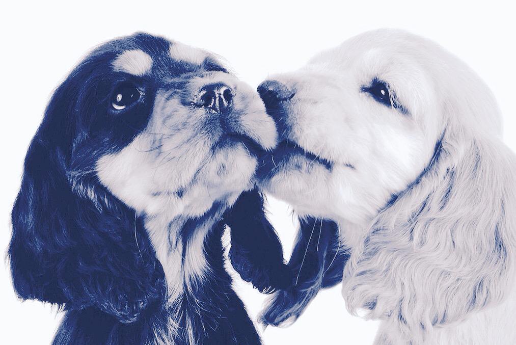 #whats up tweet media