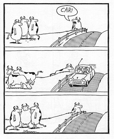 Steve_Lockstep's tweet image. &quot;Auditor!&quot; 

#securityisntsecure