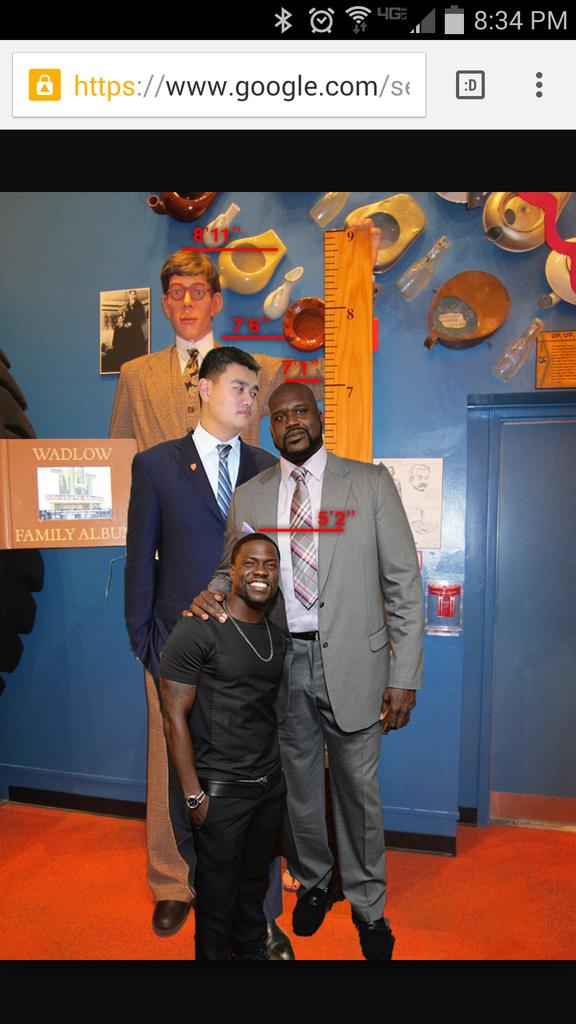 How Yao Ming 7 ft 5 (226cm) Would Look Next To Robert Wadlow 8 ft 11.1  (272cm) (IDK What Flair Fits This) : r/tall