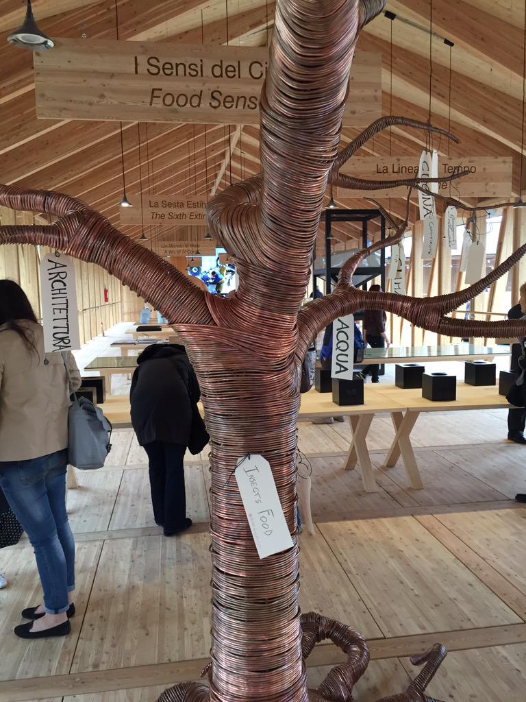 NicolasCamo's tweet photo. Even if #edibleinsects aren't valued in #Expo2015, I contributed @DiminiCricket @4entoFOOD @AllThingsBugs @Jimini_s http://t.co/2V51eq6HnM
