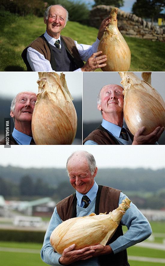 9GAG's tweet photo. Whenever you're sad, think of the happy onion man http://t.co/0hvSucU8na http://t.co/rkf2on0xEE