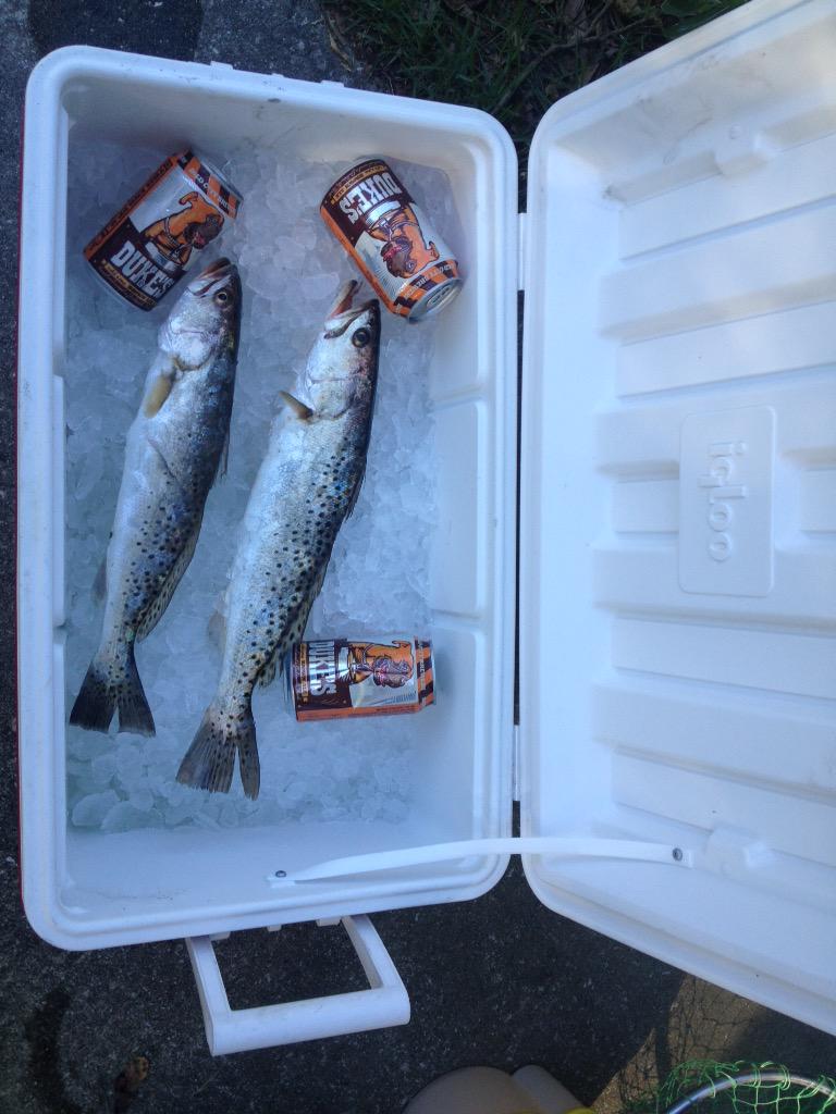 waccasassa tweet picture