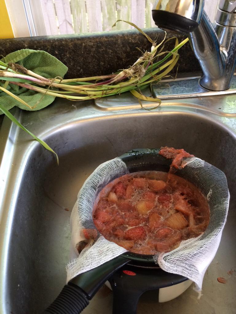 Ex. Ex. Midwest tweet media