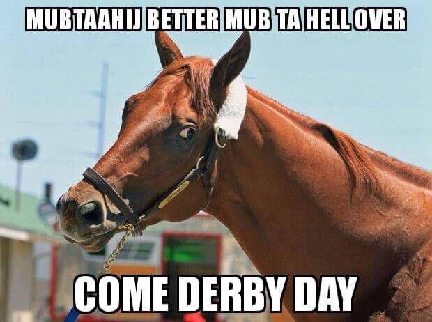 starting_gate tweet picture