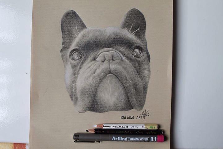 freaky__my's tweet photo. Finished #pug #drawing http://t.co/8OhrwSnshX
