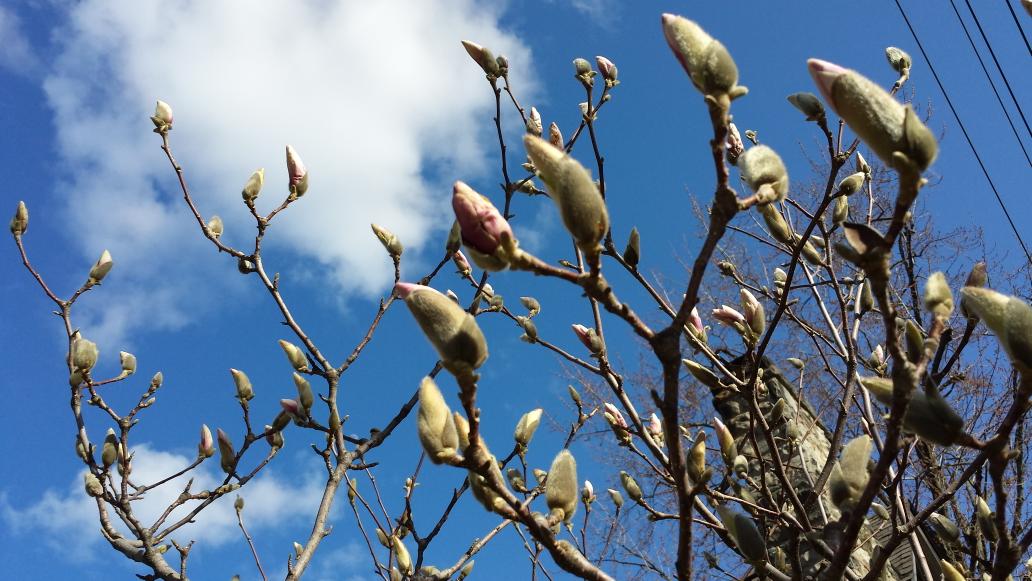 JeannieLee88's tweet photo. These bubbles are about to burst...and it's going to be epic. 
#NotDotCom
#Spring http://t.co/qFja3sayts