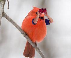 _Nutelena_'s tweet photo. Me, looking for time, wondering where the hell it went while on Twitter. #NetLag http://t.co/iYgIoCvF6y