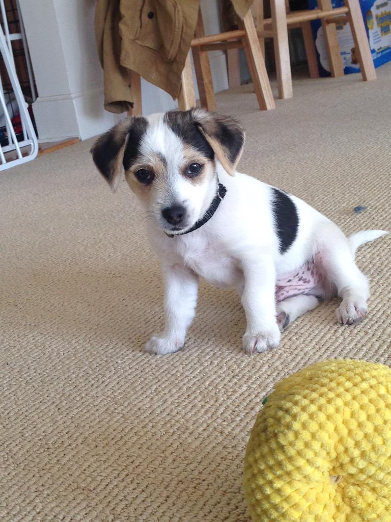 Just a face to brighten your day.