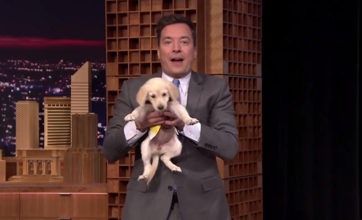 BleacherReport's tweet photo. Jimmy Fallon’s #KentuckyDerby2015 puppy prediction of #AmericanPharoah was correct http://t.co/eZ9nzpbPtR http://t.co/GPu7dNiRHI