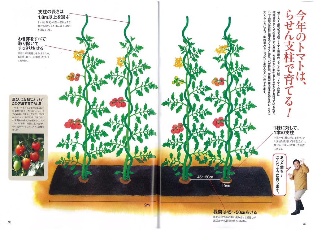 ｎｈｋ出版 趣味の園芸 家庭菜園の大スター トマト 菜園初心者なら 育てやすさと食べ応えを兼ね備えた中玉トマトがオススメ らせん支柱を使えば さらに手間が省けます 詳しい育て方は やさいの時間 5月号のテキストを参考に やさいの時間