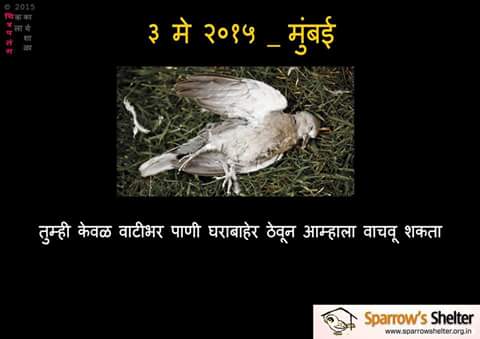 savebird's tweet photo. http://t.co/lFLwLpSXRr