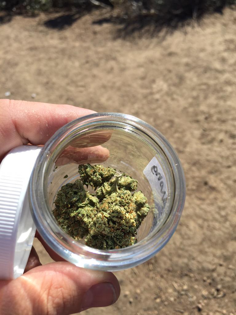 ShaneSchleger's tweet photo. Visited new dispensary in Malibu (opened 4/20) and got some Tommy Chong OG #MyDayInLA @DopeStories @LATimescitybeat http://t.co/gmuG2XaDt4