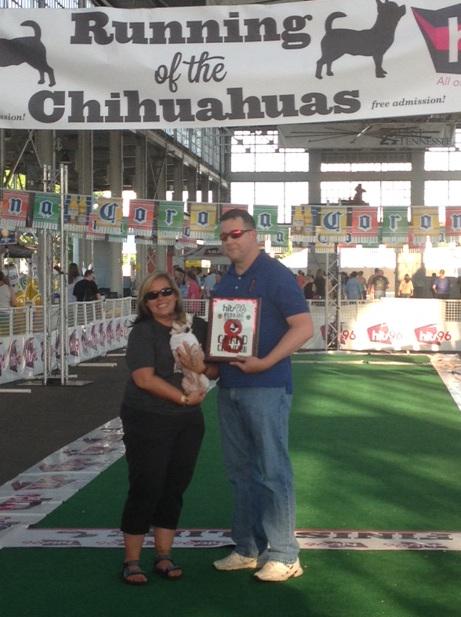 newschannelnine's tweet photo. CHATTANOOGA'S FASTEST CHIHUAHUA: "Bob" has taken home the title at the 8th annual Running of The Chihuahuas! http://t.co/gWoYS0v8Gc