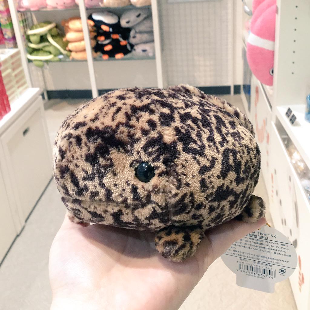 中古】ひざオオサンショウウオ(特大) | 【中古】ひざオオ