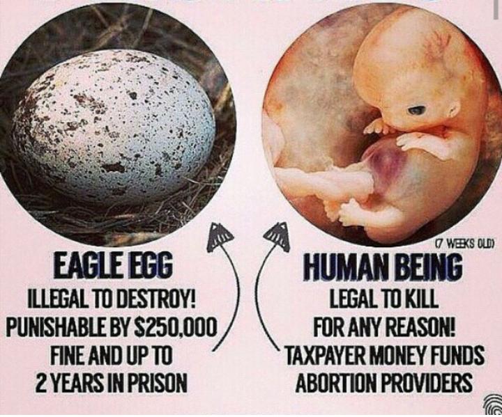 IfSatanTweeted's tweet photo. For all my pro-abortion folks! #animalsoverhumans #givemeyourkids #childsacrifice *Lev20:2-5*2Kings21:6*2Chron28:1-4* http://t.co/TOSTXS9ORN