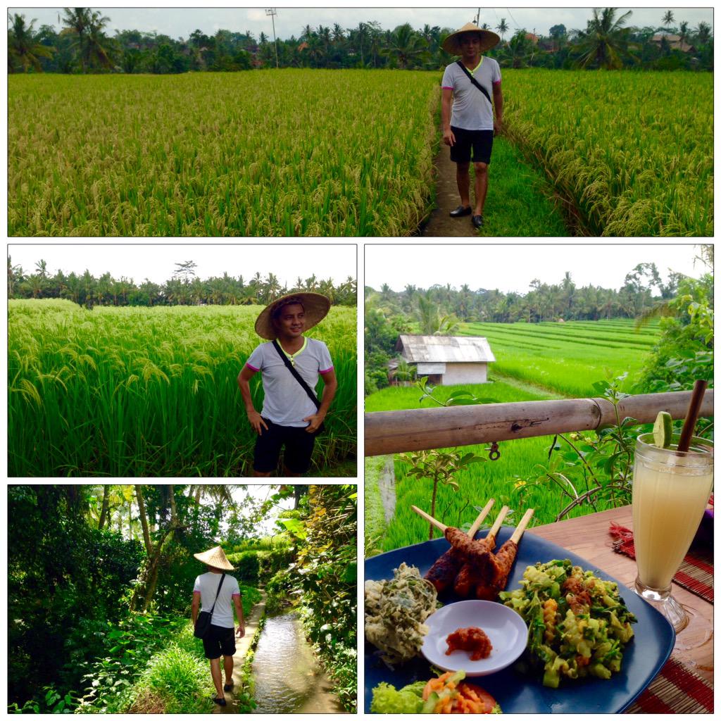 faturjavajive's tweet photo. simply paradise @sawahUbud 01/05/15 http://t.co/l8q9FWVAZn