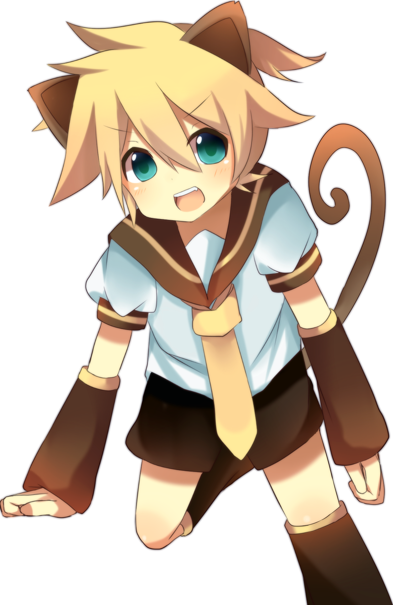 catboys_bot's tweet image. 