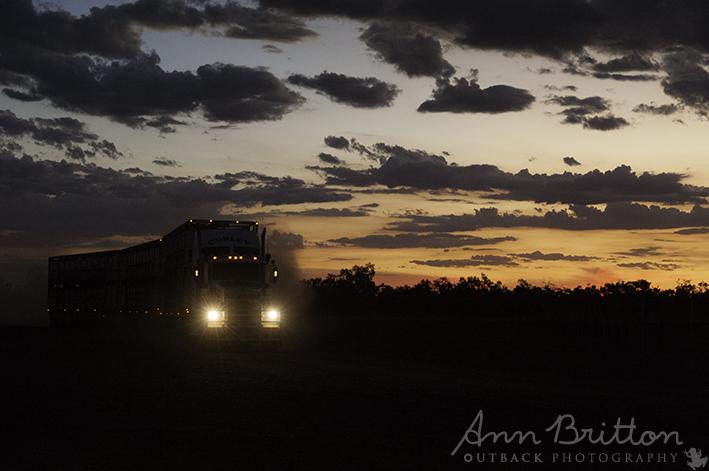 annbritton's tweet photo. No business hours when #AW your top priority
About to unload 6 decks cows #QueenVera
#asitisMyOutback http://t.co/X9iHeblgoq