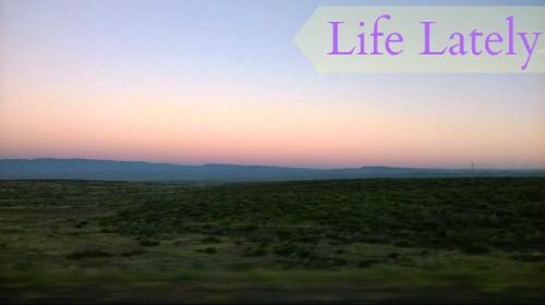 gotmeghan's tweet photo. Life Lately | Eyes Opened Wide http://t.co/UMMZVRMyM9 @FemaleBloggerRT @LbloggersRT @RT_Bloggers http://t.co/nSZJIdnjwd