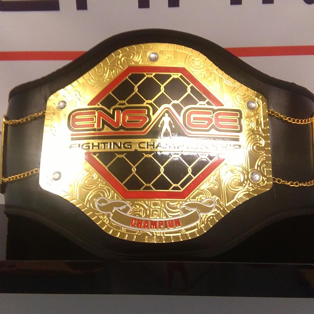 engagefcNews's tweet photo. June 6th we crown a new king.
Pro Lightweight Title
Williams vs Hampton http://t.co/BJxdtmKbBb