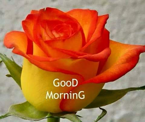 RdrdDev's tweet image. 