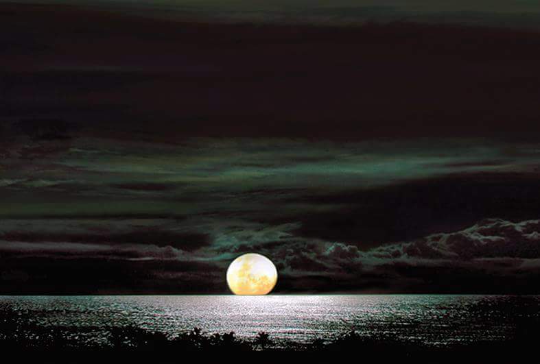 lucianococo13 tweet picture