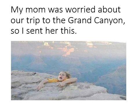 ʀagnar 𝕳yrule tweet media