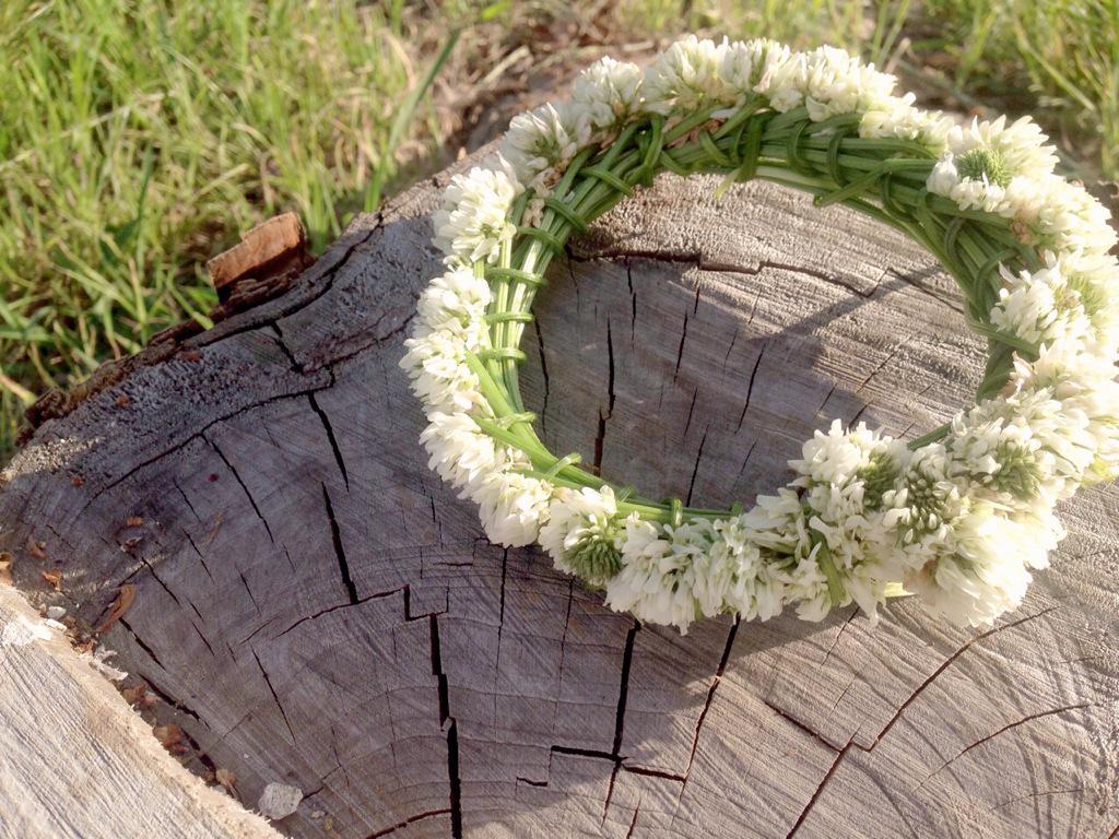 じゅの ふと見かけて 幼心をくすぐる つい作ってしまった シロツメクサの花かんむり この年になっても作り方 覚えていたよ シロツメクサの花言葉 私を思って 約束 花言葉 ファインダー越しの私の世界 Http T Co 9rtqeqgpmr Twitter