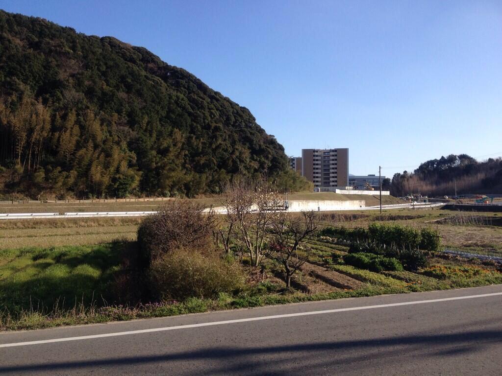 添付画像